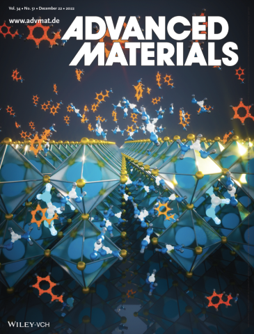 Cover: Advanced Materials, December 2022